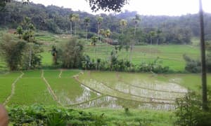 thumbnail: Balcony view