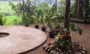 thumbnail: Land view from property