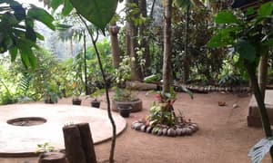 thumbnail: BBQ/picnic area