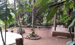 thumbnail: Garden