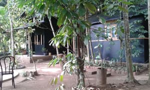thumbnail: Property grounds