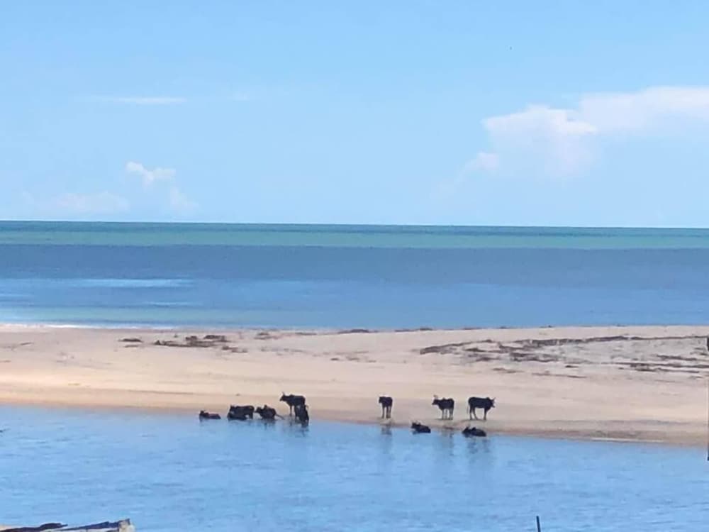 Beach/ocean view