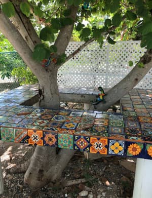 thumbnail: BBQ/picnic area