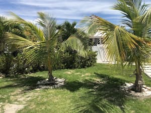 thumbnail: Property grounds