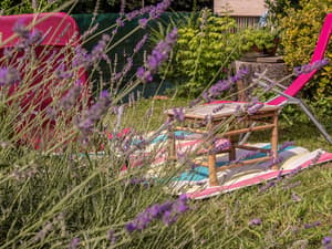 thumbnail: Garden