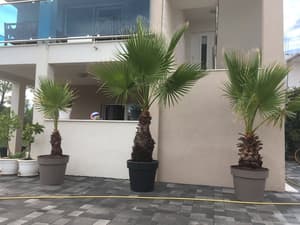thumbnail: Property entrance