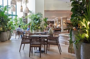 thumbnail: Bar (on property)