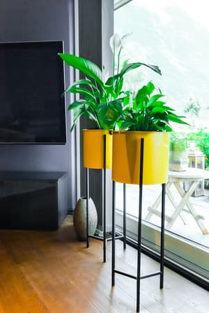 thumbnail: Living room