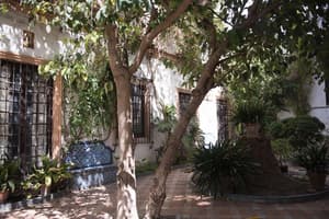 thumbnail: Terrace/patio