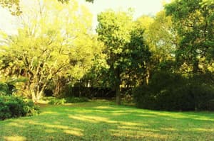 thumbnail: Garden