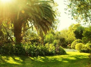 thumbnail: Exterior
