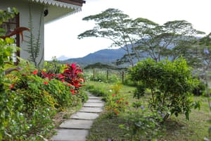 thumbnail: Courtyard