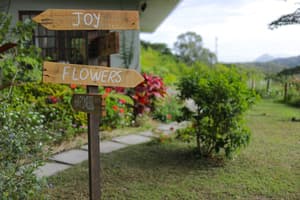 thumbnail: Garden