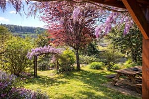 La Colline Chambres d'hotes
