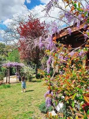 thumbnail: Garden