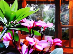 thumbnail: Interior