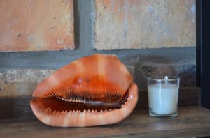 thumbnail: Interior detail