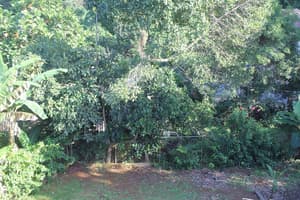 thumbnail: View from room