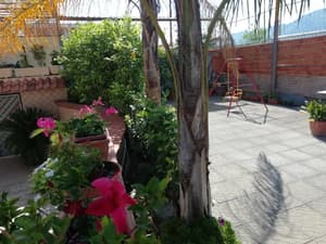thumbnail: Property grounds