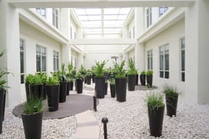 thumbnail: Garden
