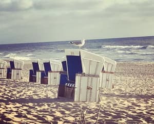 thumbnail: Beach