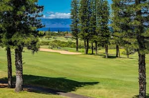 thumbnail: Golf
