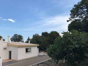 thumbnail: General view