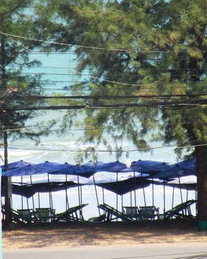 thumbnail: Land view from property