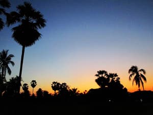 thumbnail: View from property