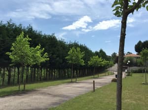 thumbnail: Garden