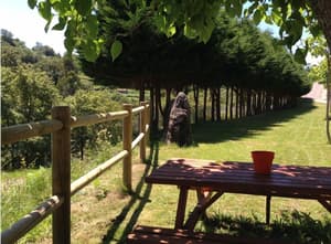 thumbnail: Garden