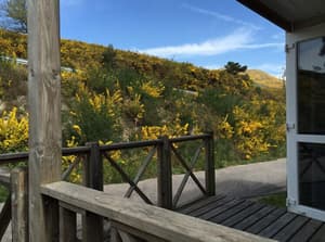 thumbnail: View from room
