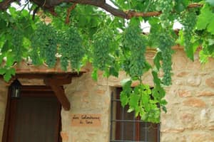 thumbnail: General view