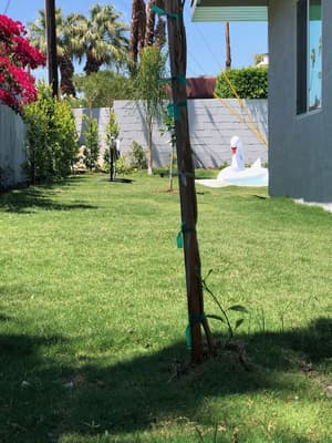 thumbnail: Garden