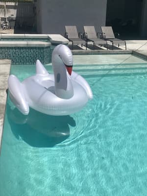 thumbnail: Pool