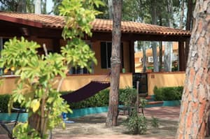 thumbnail: Property grounds
