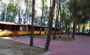 thumbnail: Courtyard