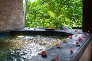 thumbnail: Spa treatment