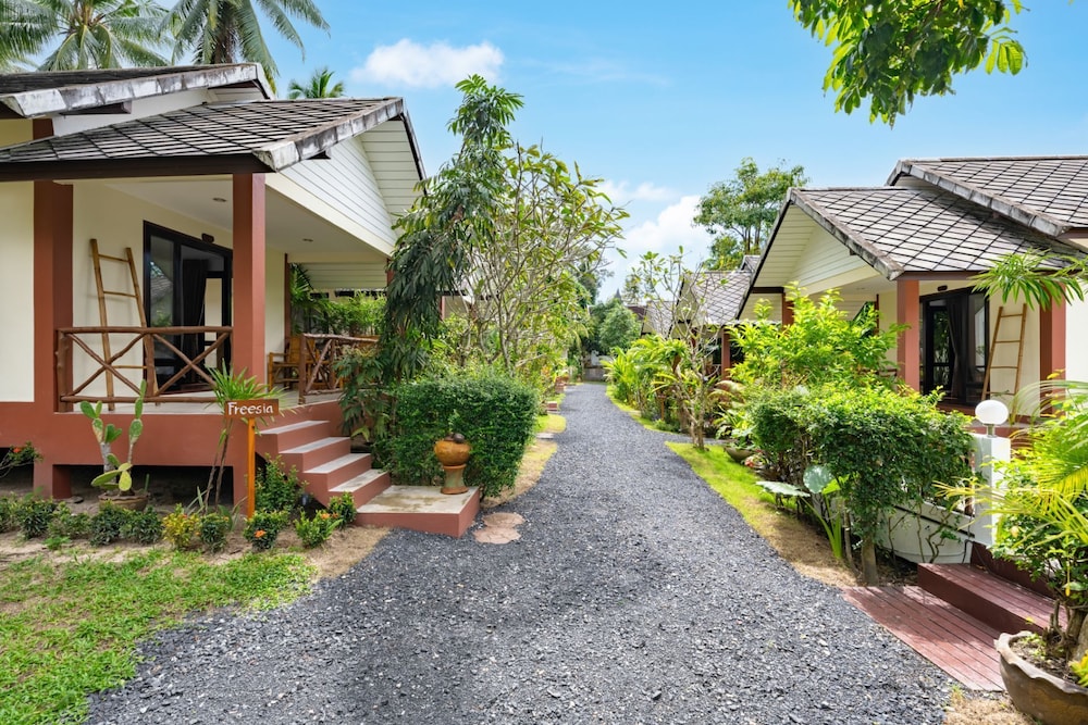 Garden view