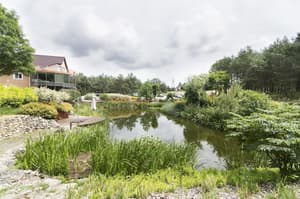 thumbnail: Garden