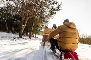 thumbnail: Sledding