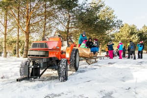 thumbnail: Sledding