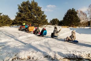 thumbnail: Sledding