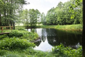 thumbnail: Fishing