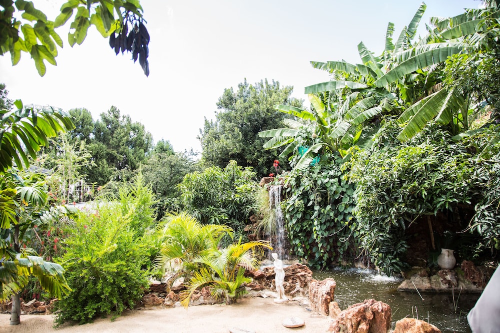 Garden view