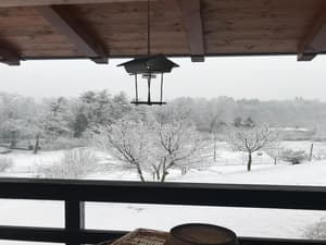 thumbnail: General view