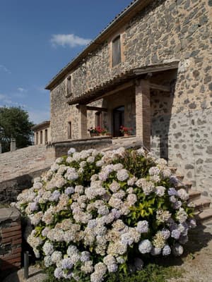 thumbnail: General view