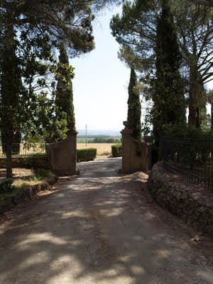 thumbnail: General view