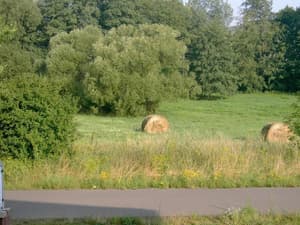 thumbnail: Property grounds