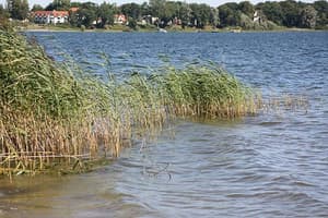 thumbnail: Lake